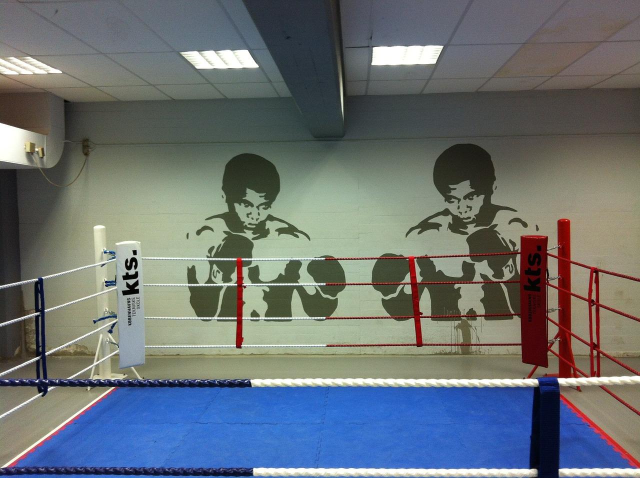 Meilleur Club De Boxe Anglaise Ile De France Le Top 10 des Plus Grands Boxeurs Français | Superprof